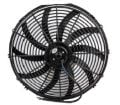 Fan Grubu