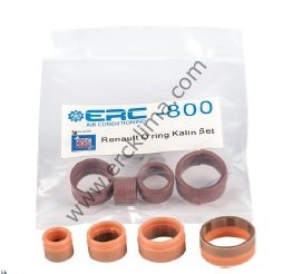 O-RING KALIN SET RENAULT